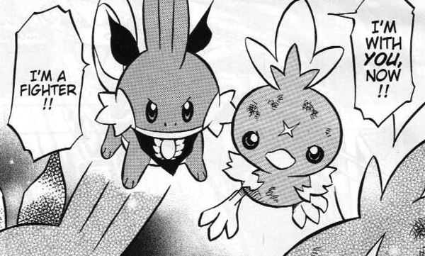 torchic and mudkip team